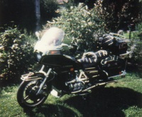 1100 Goldwing vignette